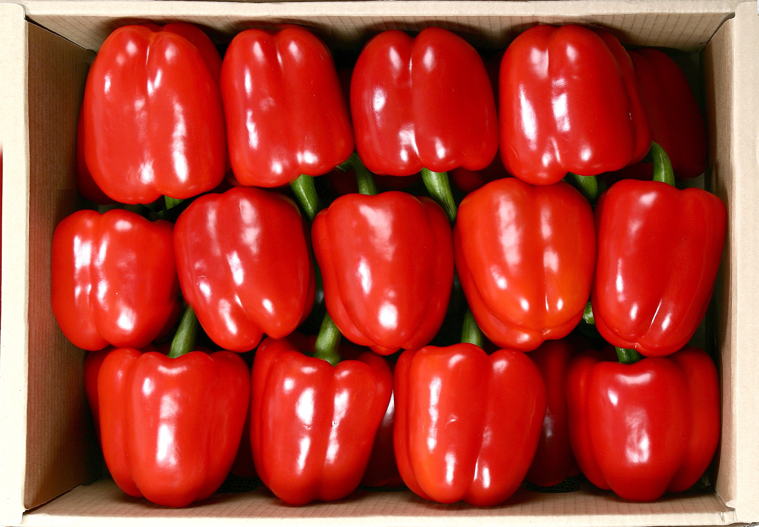 이미지 상세보기